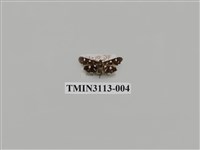 藏品(螟蛾210)的圖片